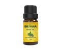 BASIL OIL (Ocimum Sanctum) – 10ml