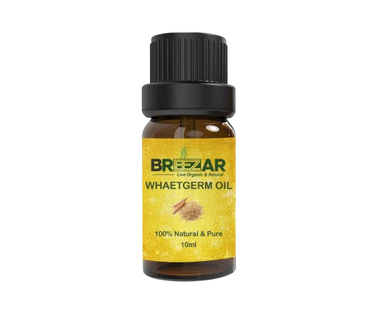 WHEATGERM OIL (Triticum Vulgare) – 30ml
